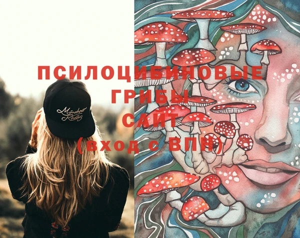 apvp Балабаново